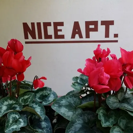 Nice Apt. Apartment *